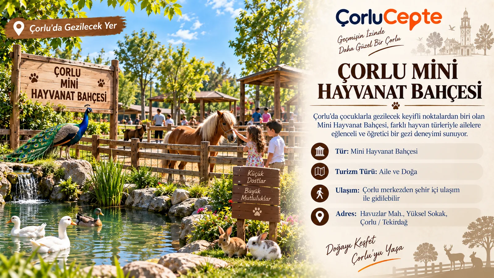 ÇORLU MİNİ HAYVANAT BAHÇESİ: ÇOCUKLARLA GEZİLECEK KEYİFLİ BİR YER